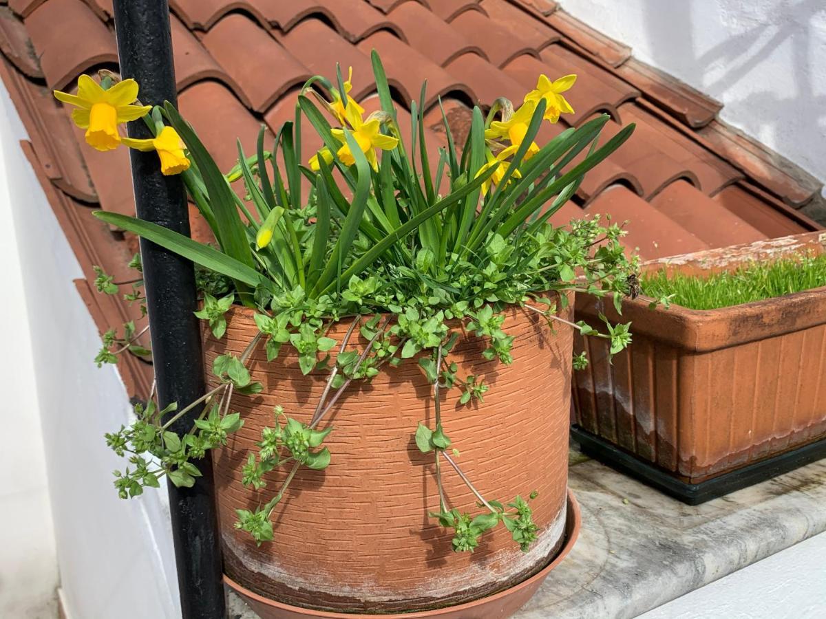 Rooftop Terrace Domus Dei Fabbri Benátky Exteriér fotografie