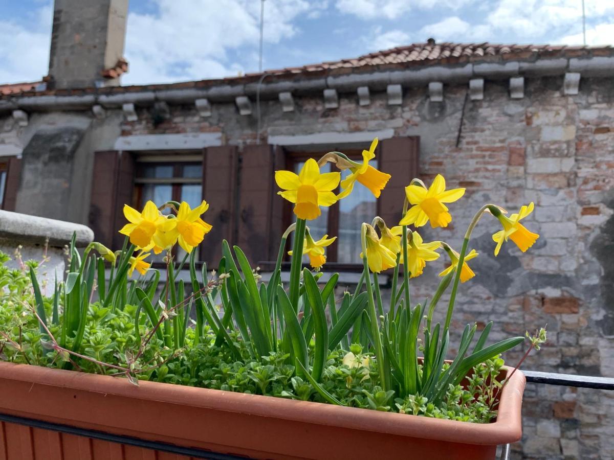 Rooftop Terrace Domus Dei Fabbri Benátky Exteriér fotografie